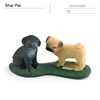 Shar Pei