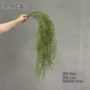 Vigne d'asperges : Vert