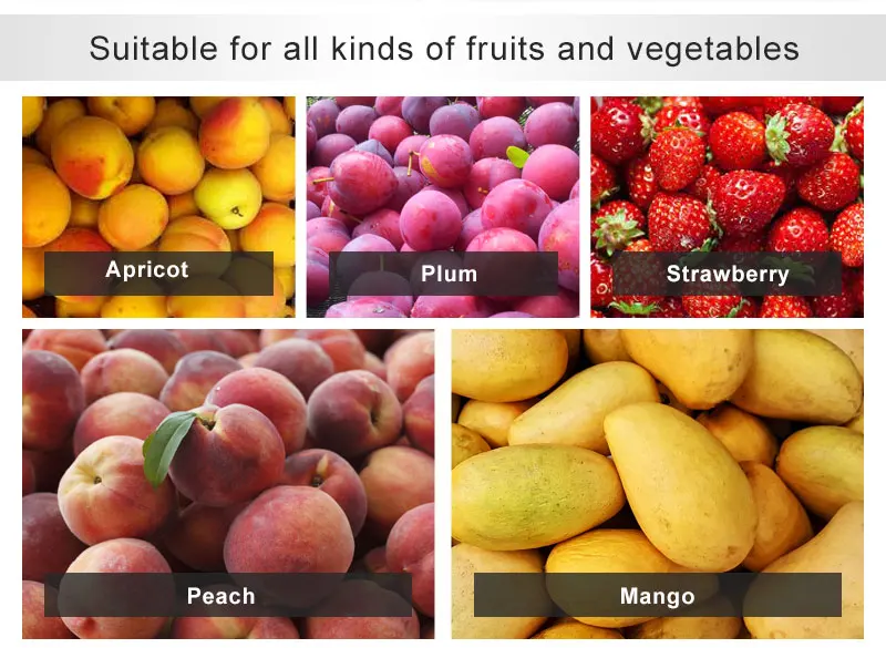 Fruit Pulp Processing Machine