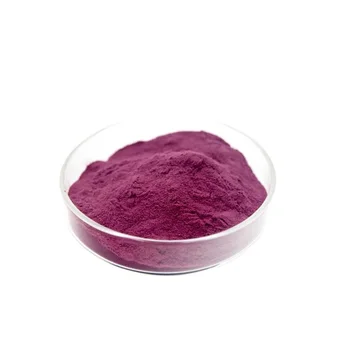 hot selling grape seed extracts with best price