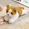 gato naranja