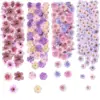 Purple series