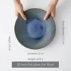 10 inch flat plate hidden dark blue