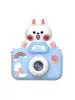 Blue rabbit