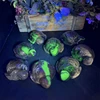 Tortuga de ágata volcánica