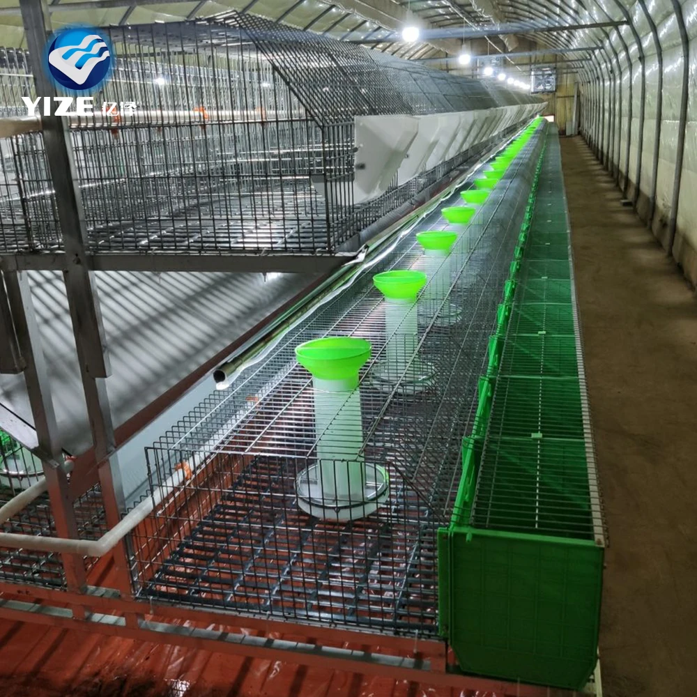 Automatic Manure Cleaning Rabbit Cage With High Quality Accessories 2021 Hot Sale Industrial