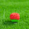 5#Long red flowerpot