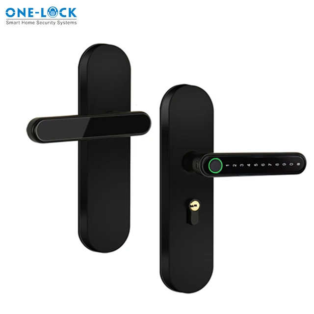 TTLOCK Single Handle Apartment Smart Fingerprint Lock