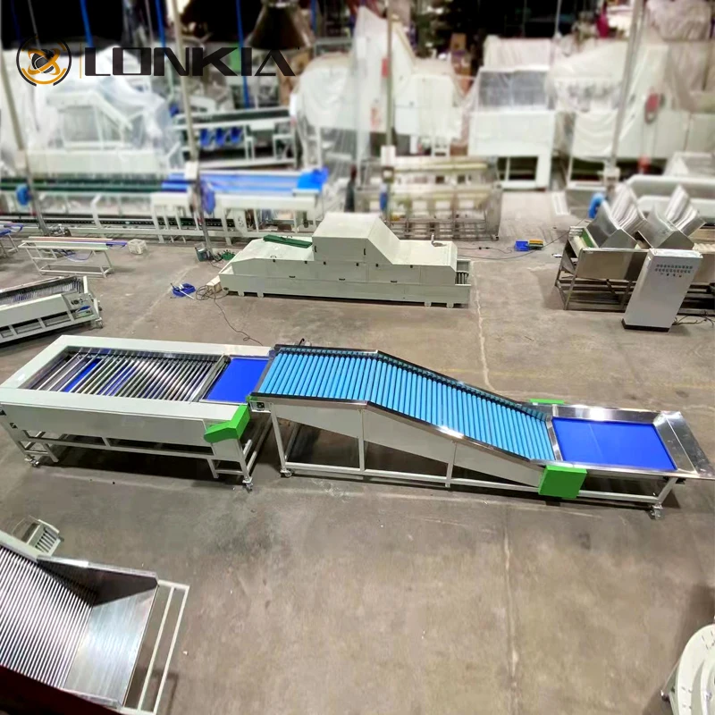 Root Vegetable Grading Machine - Efficient Sorting Solutions