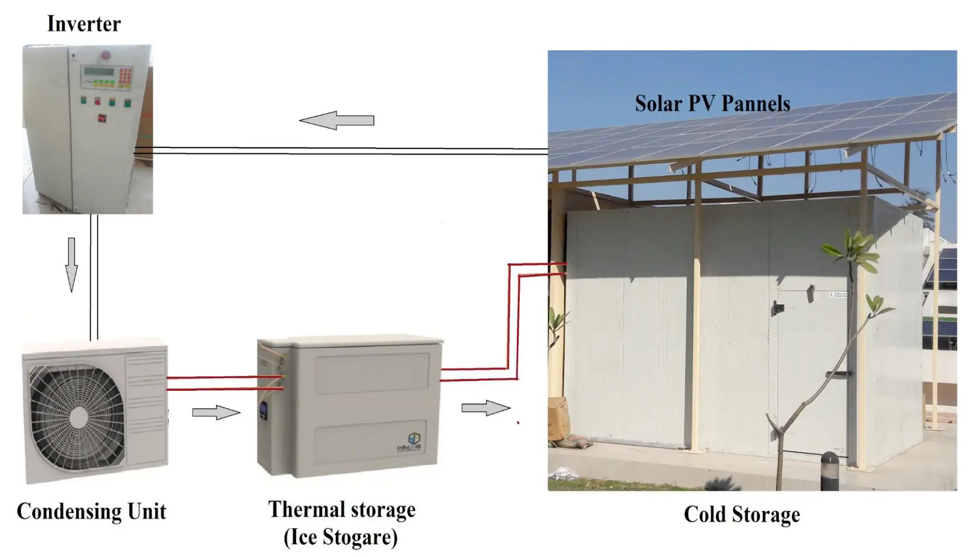 20ft Mobile Container Best Solar Power Cold Storage Room For Fish Meat ...