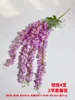 Glicine 3