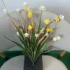Giallo Bianco
