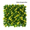 Bougainvillea Yellow 2