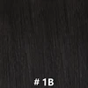 #1B