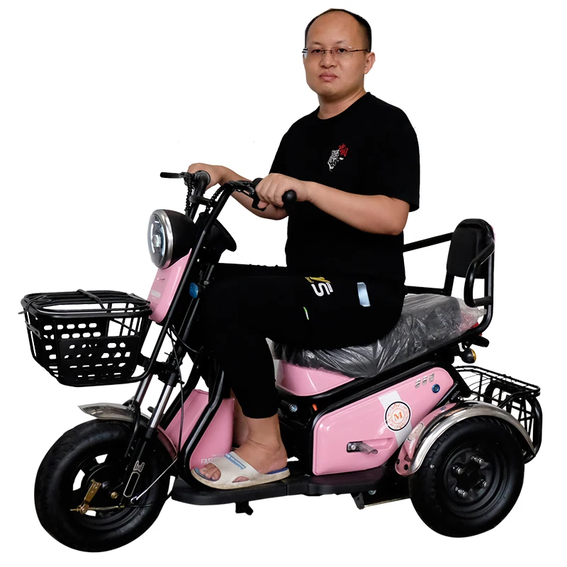 China Factory Electric Bicycle Triciclo Electrico Agricola Electric Moped  Three Wheeler Electric Tricycle Bike for Couples