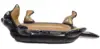 Dachshund