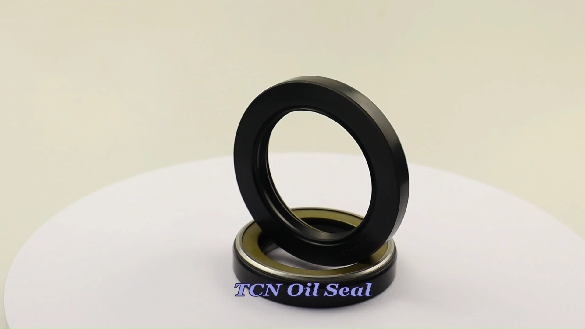 High Pressure Oil Seal Tcn Ap1260e 24*40*8 Hydraulic Pump Oil Seal