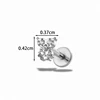 Plata-T25120-7
