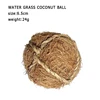 Water grass coconut ball