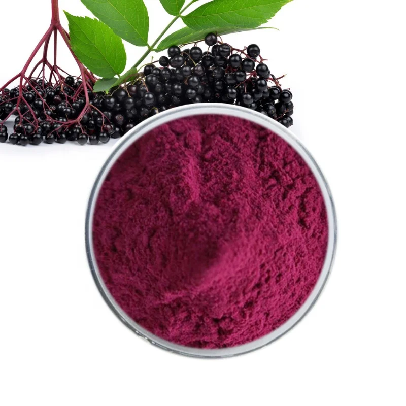 100%high quality black elderberry powder elderberry extract