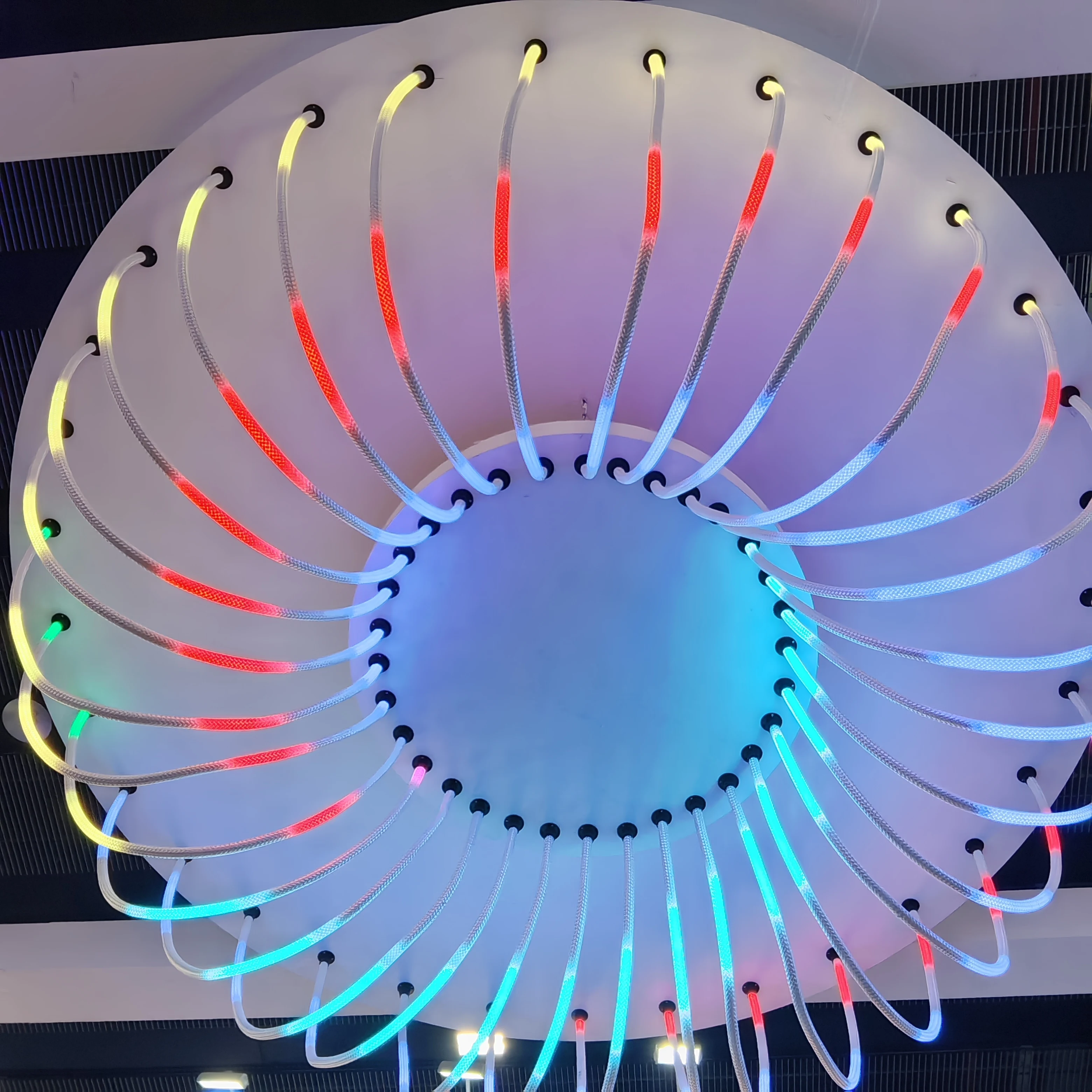 Smart WIFI Control Neon Tube Best Selling 360degree RGBIC LED Strip Light Dream Color