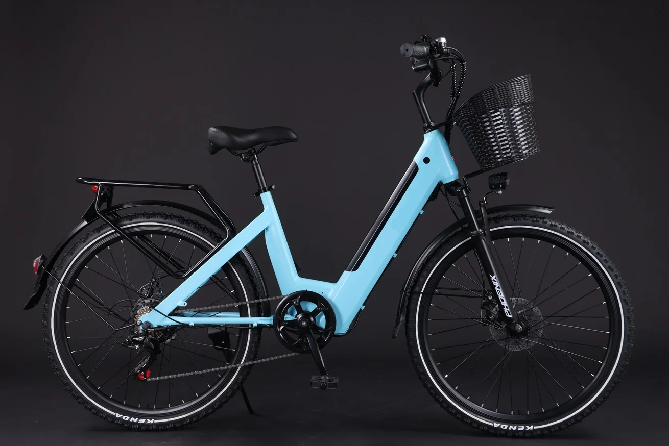 2024 Electric City Bike 48V E-Bike with Full Suspension