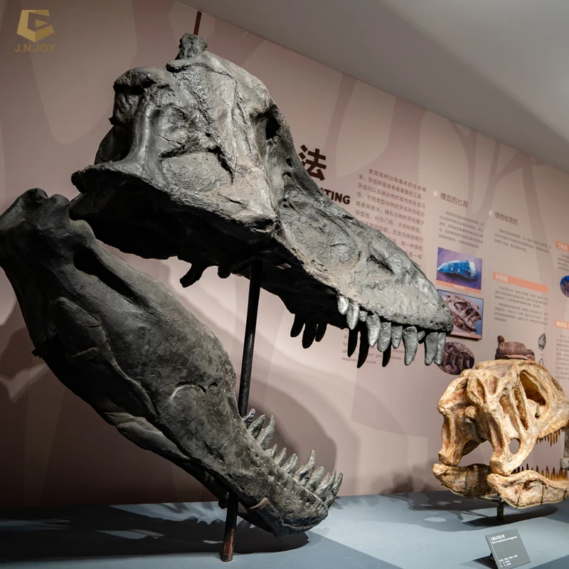 SGSR32博物館展示 恐竜化石 大型ティラノサウルス恐竜骨格模型 販売中