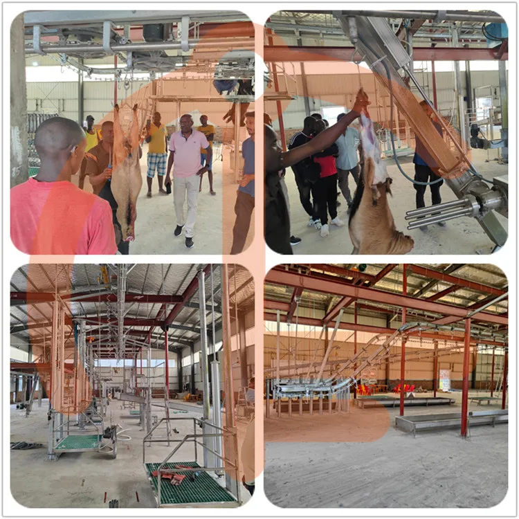 Fully automatic mutton slaughterhouse equipped with mutton slaughterhouse meat traceability system equipment