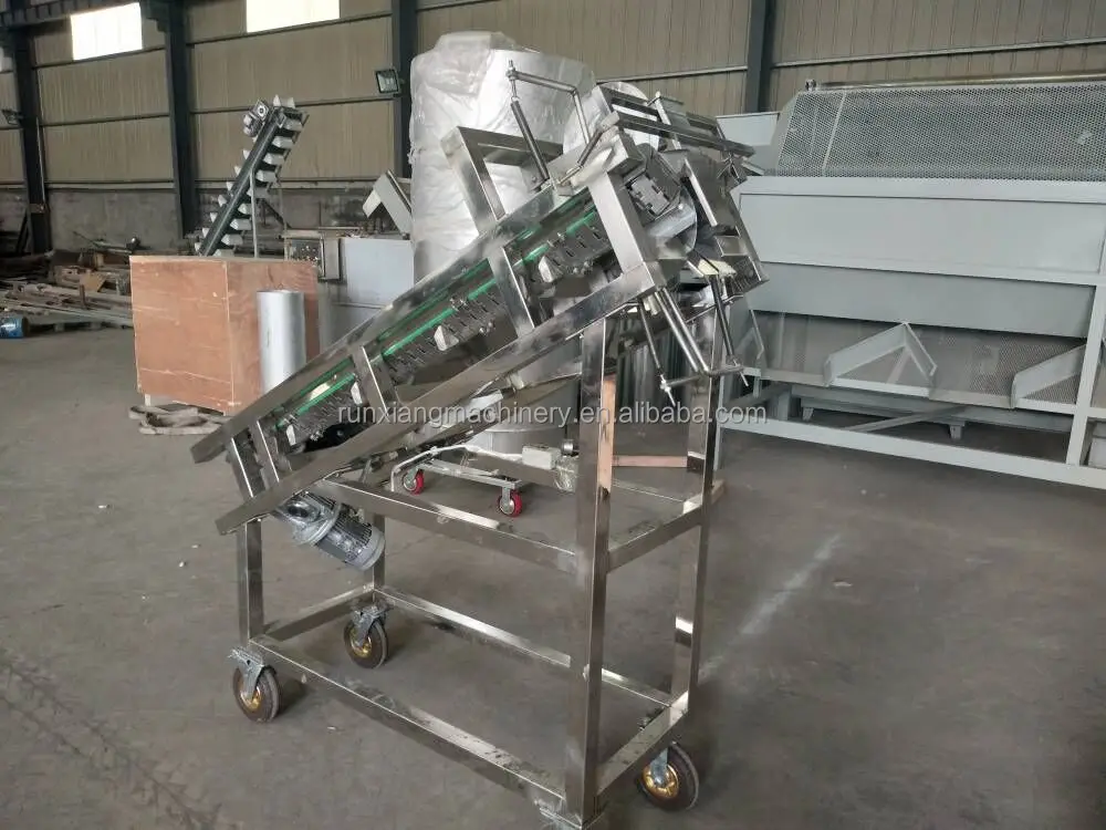 Cocoa Pod Breaker - Efficient Fresh Cocoa Pods Splitter