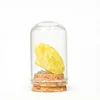 Lemon yellow stone