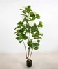 Vert 150cm