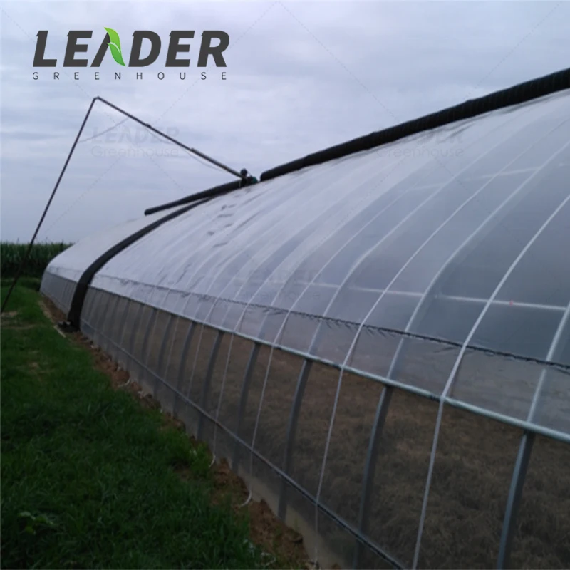 Agricultural Commercial Green House UV Treated Super Strength Clear Plastic Film 