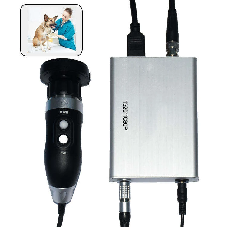 Mini HD 1080Pintegrated medical endoscopy camera system Usb Endoscope Camera Integrated with ENT Led Light Monitor