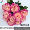 Bouquet de 12 têtes de ranunculus, rose clair
