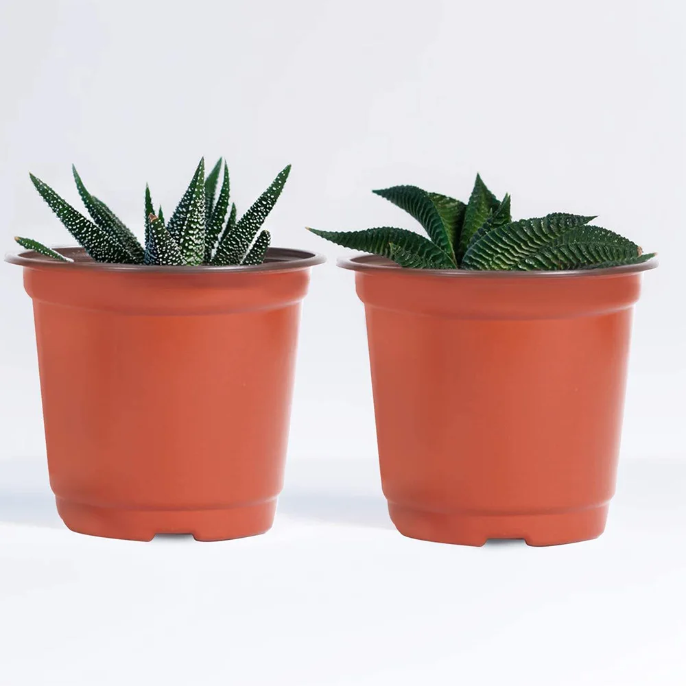 Colorful Flower Plant Pot Double Color Pp Disposable Plastic Garden Small Flower Pots
