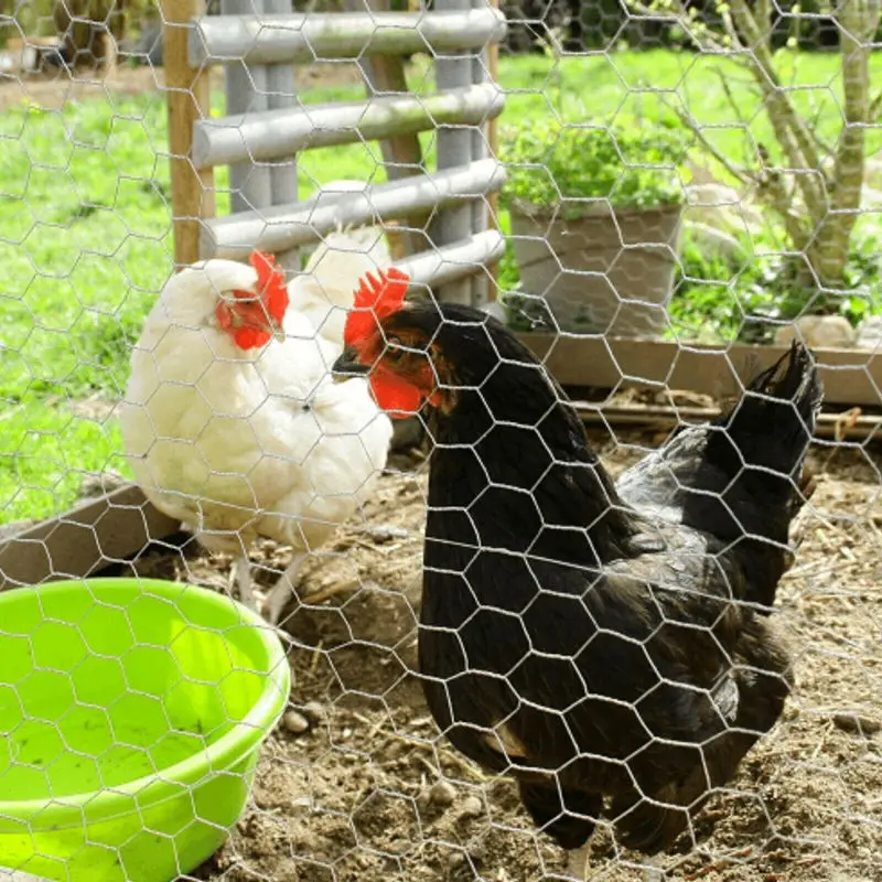 Free Range Goose Hex Fencing  Marks Grazing Areas Prevents Geese from Wandering