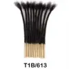 1B/T613#