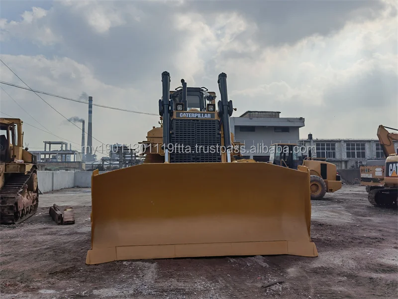 cat d9n (14).jpg