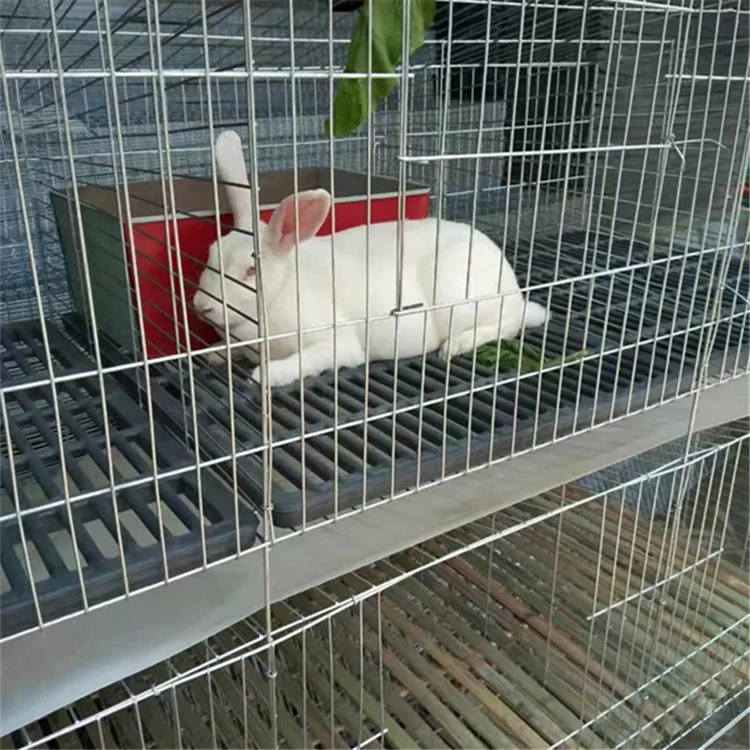 Rabbit Cages Commercial Breeding Industrial And Baby Rabbit Cages Bunny