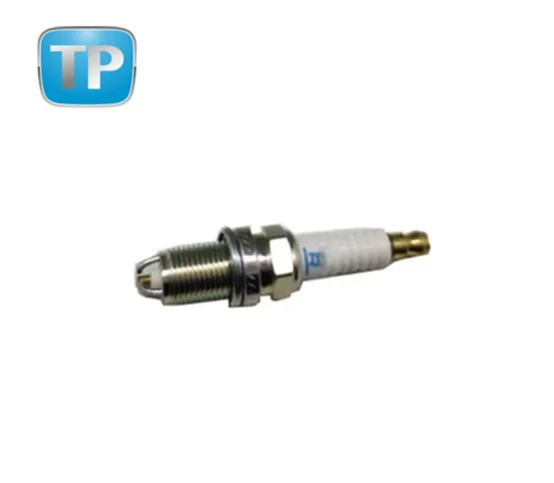 Spark Plug 1621593103