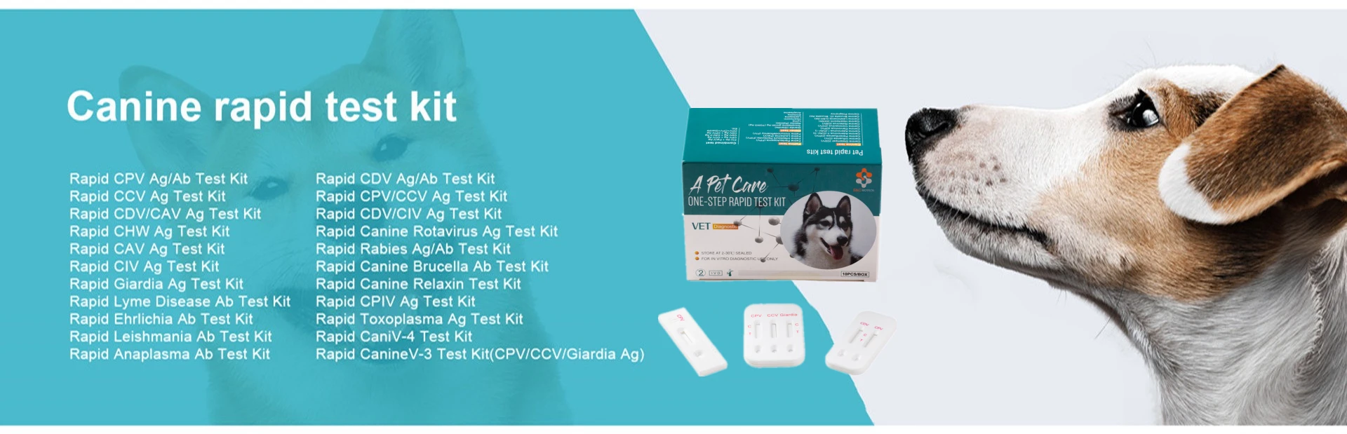 Are Dog Distemper Tests Reliable