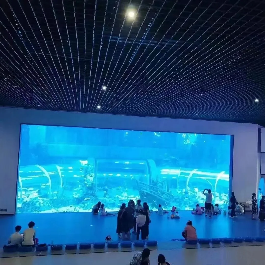 Top 20 Custom Acrylic Aquarium Manufacturer In Brazil