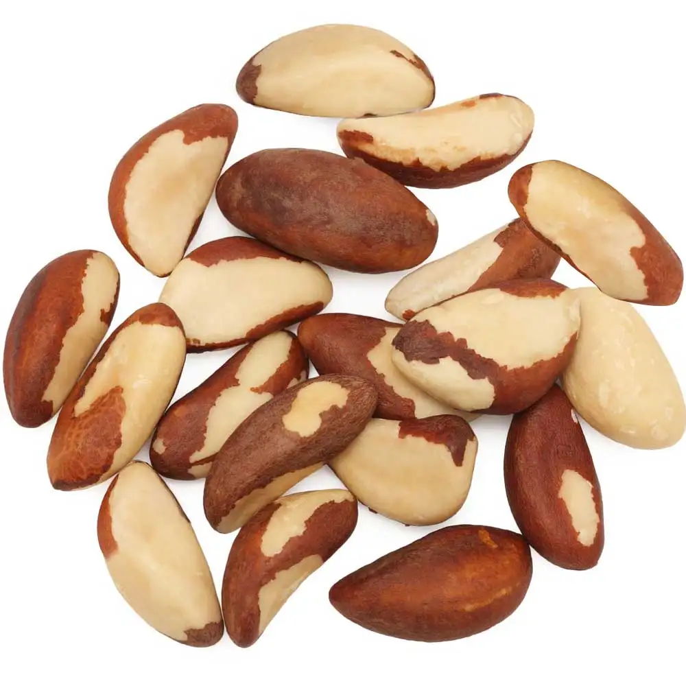 Top quality delicious brazil nuts on sale