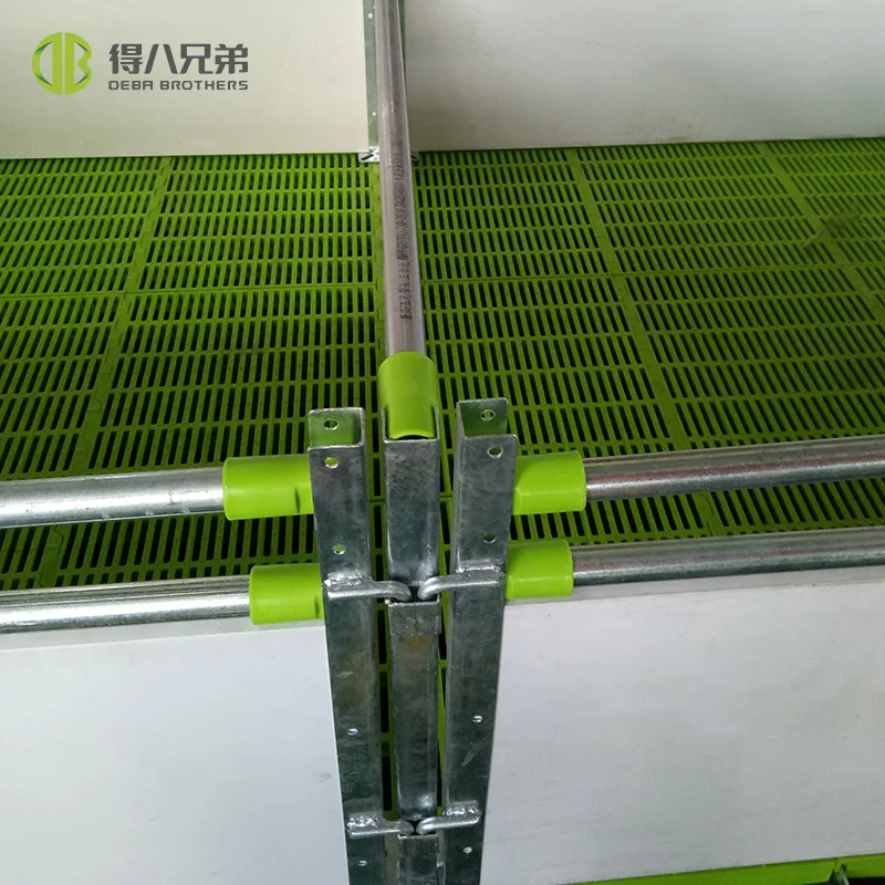 PVC Panel Weaning Crates - Durable Pig Nursery Solutions