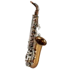 Musical Instruments High F# Eb Key Golden Lacquer Alto Saxophone RSA-9902s
