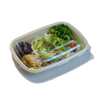 Take Out Boxes Bagasse pulp earth protect disposable bowls biodegradable CR900- 2compartment Box240430
