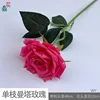 Single Manta Rose WY, Rose Red