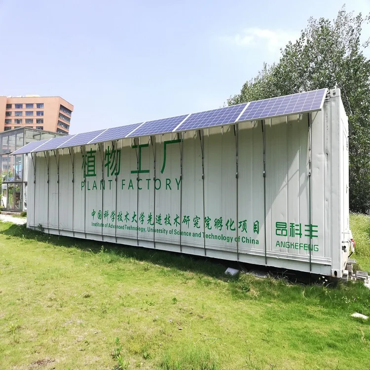 Hydroponic System Container Hydroponic Farm  Plant Factory Vertical Indoor Hydroponic Farms