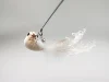 hibiscus bird-White