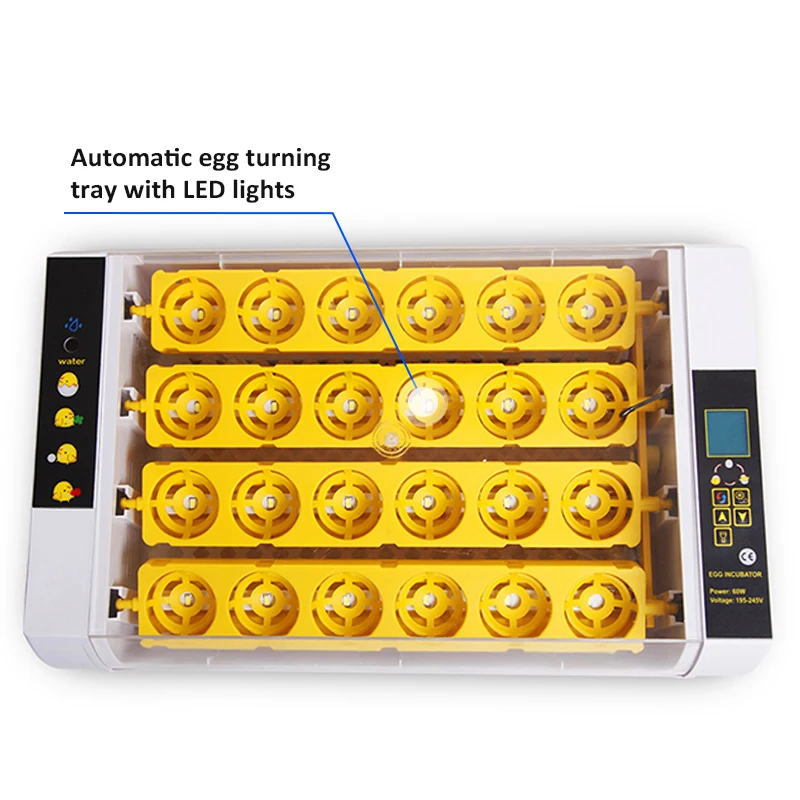 HHD 24 Capacity LCD Display Fertilized Parrot Incubators Hatching Eggs Egg Products